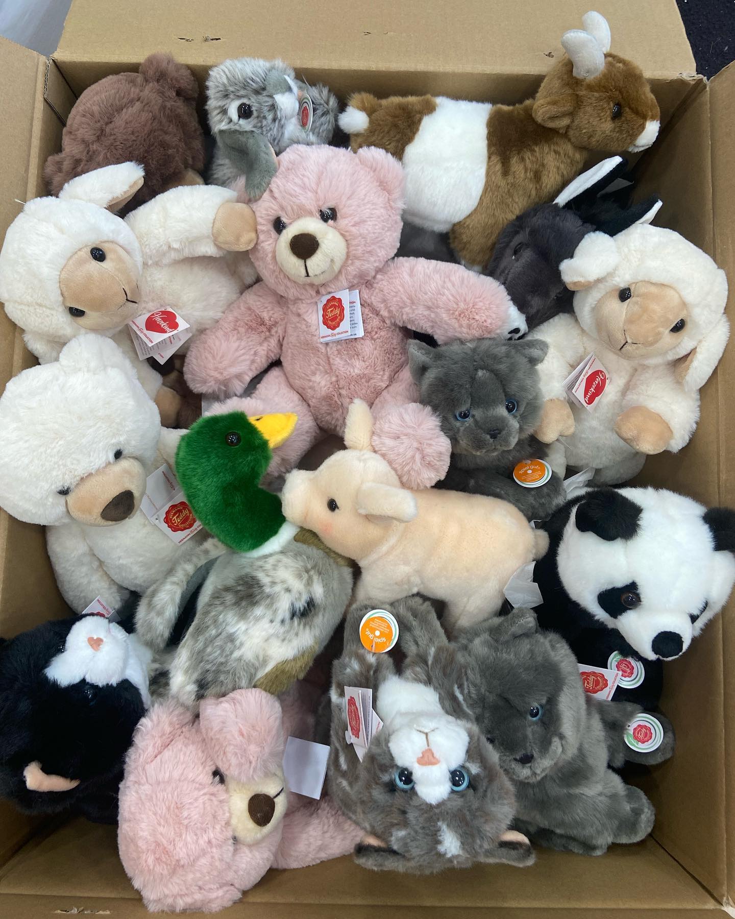 jouets 77 peluches Melun jouets 77 peluches Melun